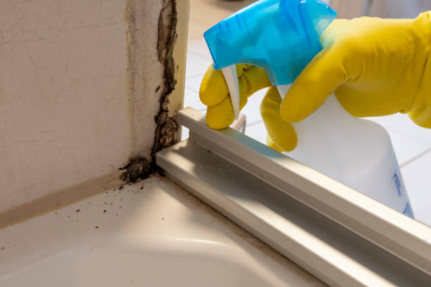 Best Crawl Space Mold Remediation in Oronoque, CT